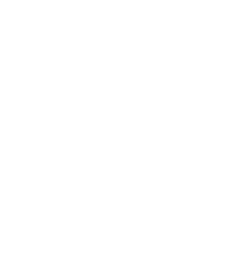 PrimeLogic SEO